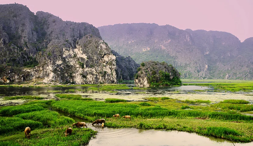 Travel to Vietnam in January