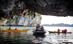 Signature Cruise Kayaking