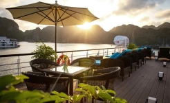 Stellar of the Seas Cruise