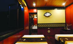 Swan Cruise - Family Connecting