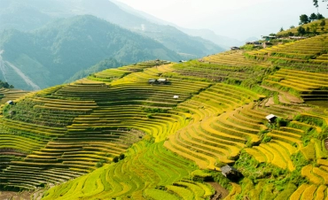 Mu Cang Chai and Sapa Tour