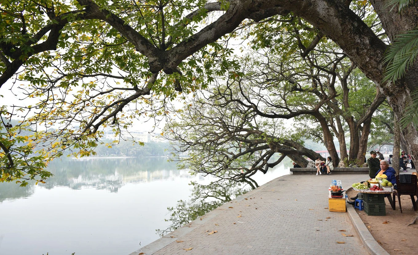 Vietnam Experience Tour